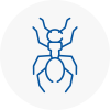 Ant Removals In St Ives