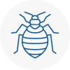 Bed Bug Extermination In St Ives