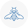 Bee Nest Removal St Ives