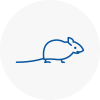 Mice Exterminators In St Ives