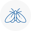 Moth Control Specialists In St Ives