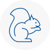 St Ives Rodent Removals